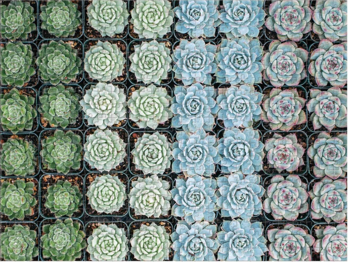 double sided succulent puzzle Succulent Garden Double Sided Puzzle – Full Circle Gifts & Goods