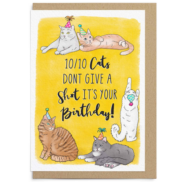 10/10 CATS BIRTHDAY CARD