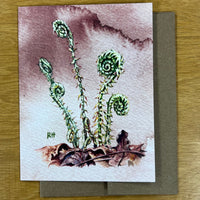 ROSALIE HAIZLETT NOTE CARD ART PRINT - CHRISTMAS FERN