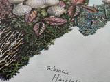 ROSALIE HAIZLETT  PRINT - WEST VIRGINIA FOREST FLOOR