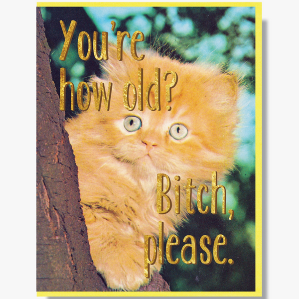 BITCH PLEASE KITTEN BIRTHDAY CARD