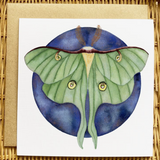 Luna Moth Note Card Art Print