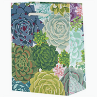 Succulents Gift Bag