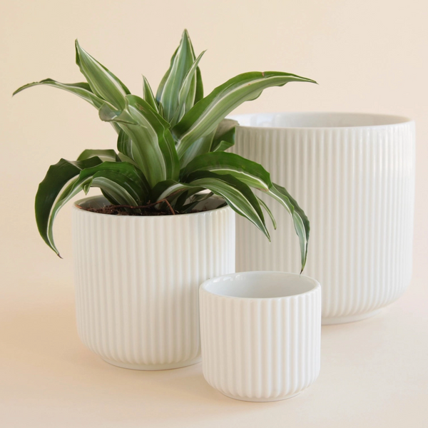 LUCY CERAMIC PLANTER