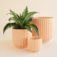 MONROE CERAMIC PLANTER