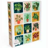 HOUSEPLANTS PUZZLE