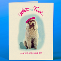COOL POODLE CARD