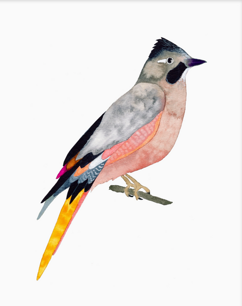 WATERCOLOR JAY BIRD ART PRINT