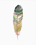 Watercolor Lone Feather #14 Print