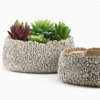 Ceramic Igneous Planter - Bowl