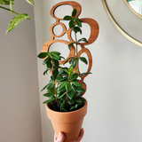 Wood Plant Trellis - Midcentury Circles