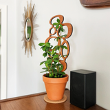 Wood Plant Trellis - Midcentury Circles