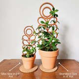 Wood Plant Trellis - Midcentury Zinnia