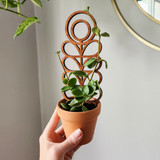 Wood Plant Trellis - Midcentury Zinnia