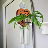 Hanging Propagation Station - Monstera Leaf