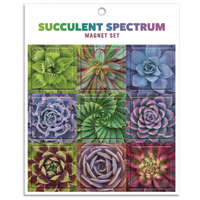 Succulent Spectrum Magnet Set