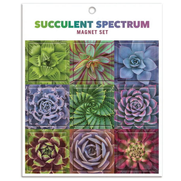 succulent spectrum puzzle Succulent Spectrum Magnet Set – Full Circle Gifts & Goods