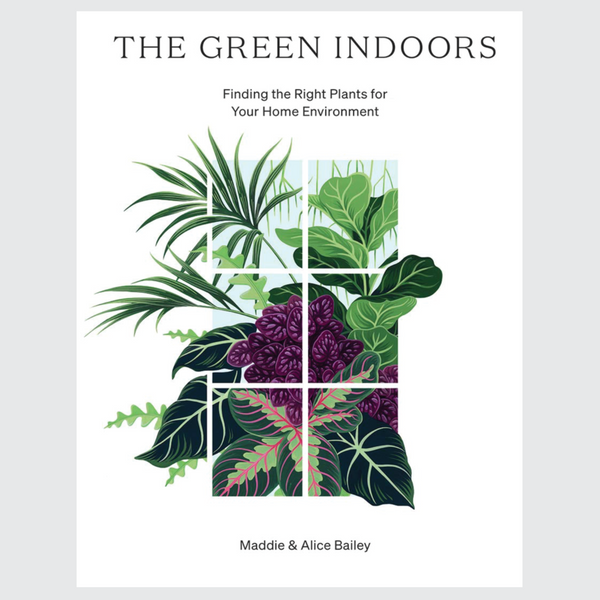 THE GREEN INDOORS: FINDING THE RIGHT PLANTS FOR YOUR HOME ENVIRONMENT