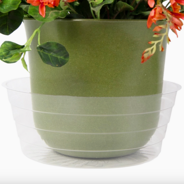 clear plant saucer Clear Plant Saucer