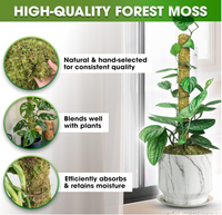 22 INCH STACKABLE MOSS POLE FOR PLANTS