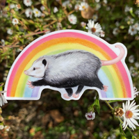 Rainbow Opossum Sticker