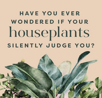 Houseplants And Their Fucked Up Thoughts