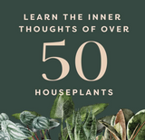 Houseplants And Their Fucked Up Thoughts