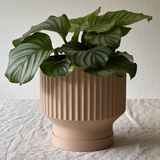 Lightweight Ridged Planter Pot With Drip Tray - Large