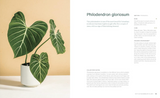 WELCOME TO THE JUNGLE: RARE TROPICAL PLANTS TO COLLECT, GROW + LOVE