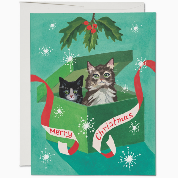 Cats Merry Christmas Card