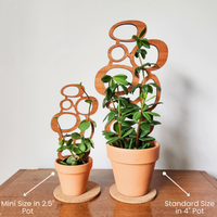 Wood Plant Trellis - Midcentury Circles