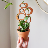 Wood Plant Trellis - Midcentury Circles