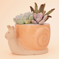 Snail Planter