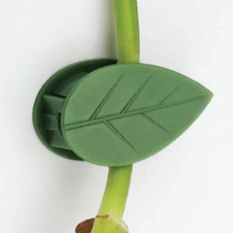 Wall Clips For Climbing Plants