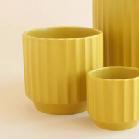 Monroe Chartreuse Planter