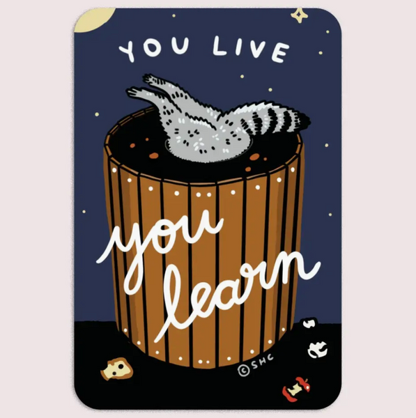 Raccoon You Live You Learn Sticker