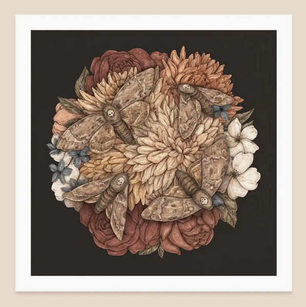 Dahlias + Deaths Head Moths Art Print