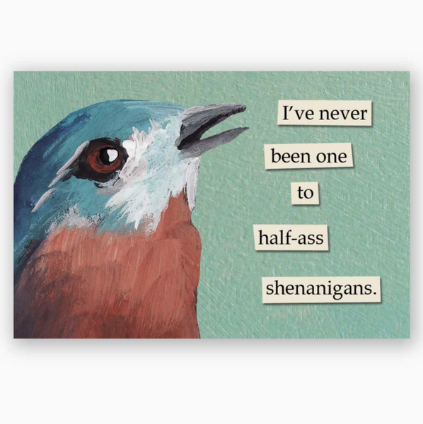 Shenanigans Bird Magnet