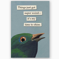 Things Just Got Weird Bird Magnet