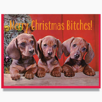 Puppies Merry Christmas Bitches Card