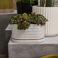 Zelle Planter