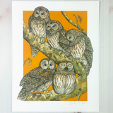 A Parliament Of Owls Archival Print