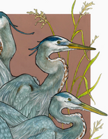 A Siege Of Herons Archival Print