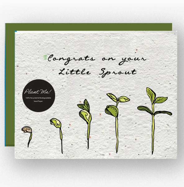 wildflower seed cards Wildflower Seed Paper Card