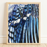 Rosalie Haizlett  Print - Blue Jay Wing