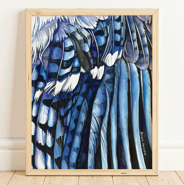 Rosalie Haizlett  Print - Blue Jay Wing