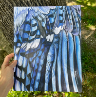 Rosalie Haizlett  Print - Blue Jay Wing