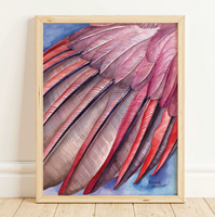 Rosalie Haizlett  Print - Northern Cardinal Wing