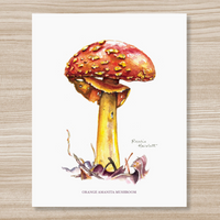 Rosalie Haizlett  Print - Orange Amanita Mushroom