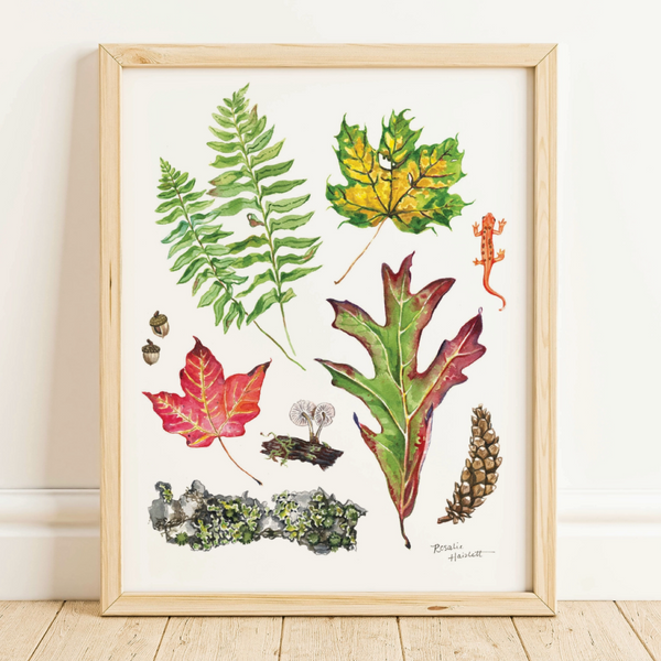 Rosalie Haizlett  Print - Woodland Walk